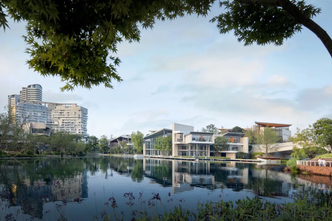麓湖：独行的十年|成都市_新浪新闻