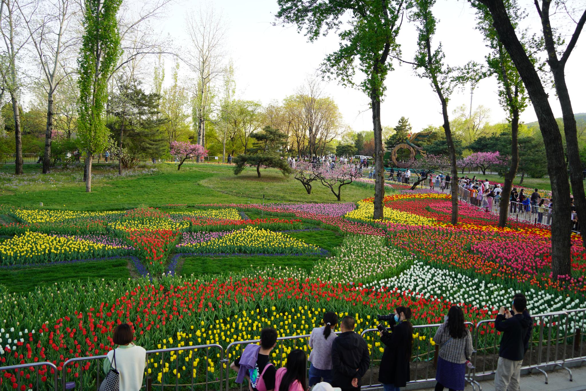 一份有关国家植物园的植识点请查收