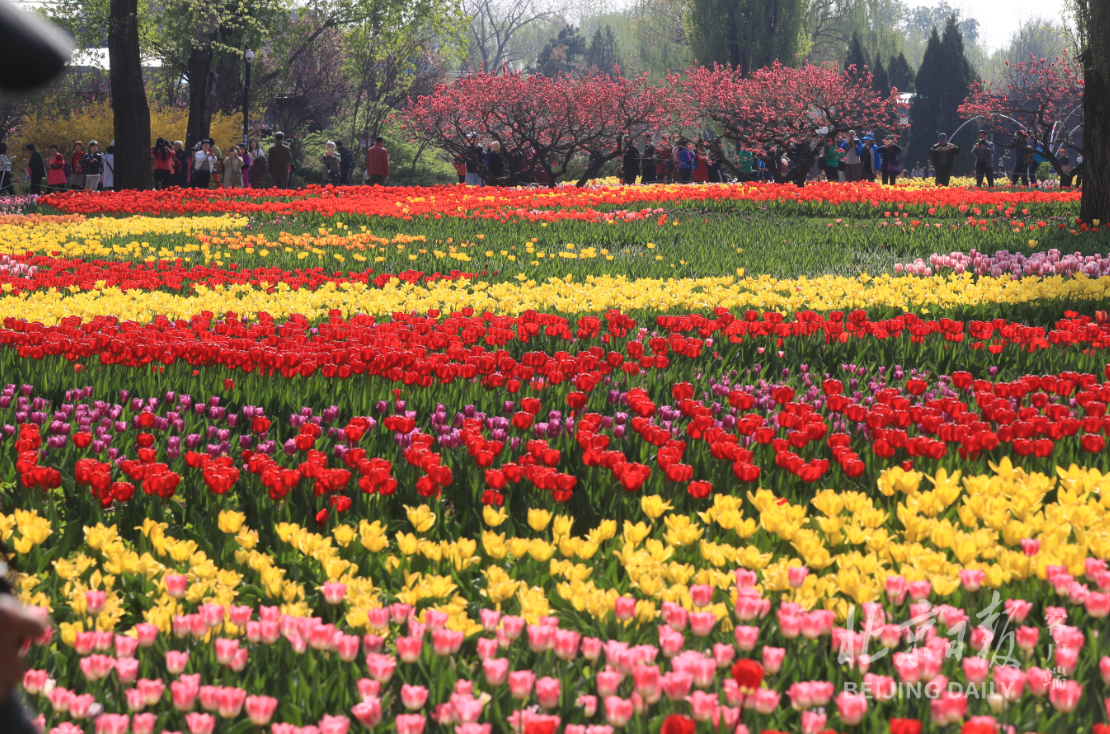 北京植物园全景图图片