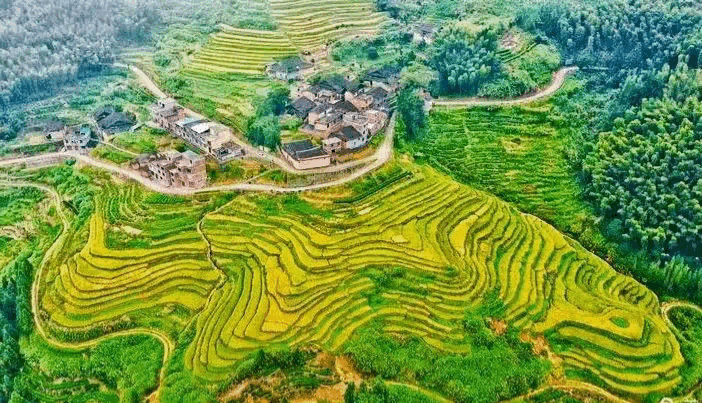福建还有这些梯田正奏响田园风光|梯田|福建省_新浪新闻