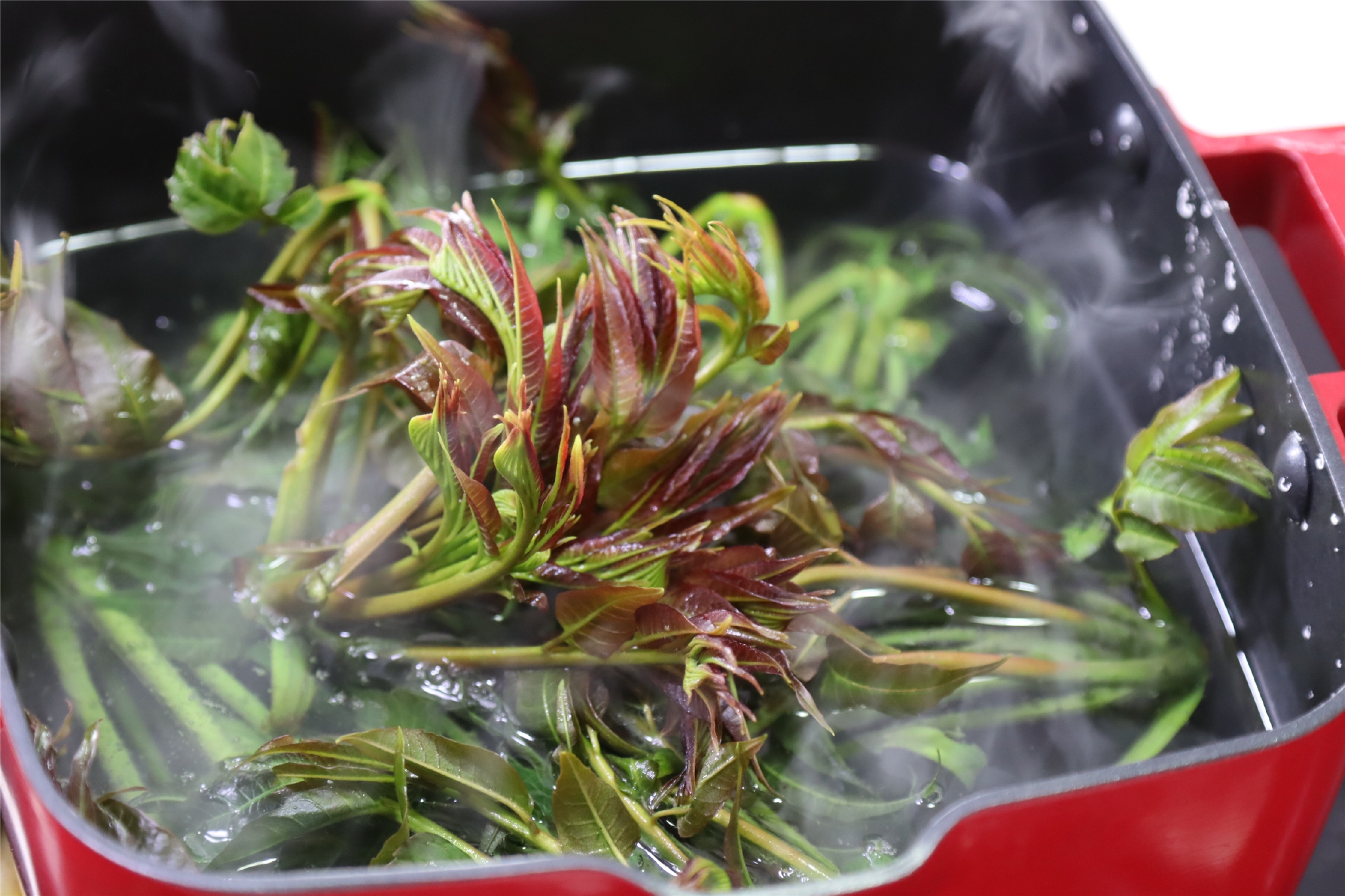 谷雨节气记得要吃春老传统别丢鲜美营养错过季节就老了