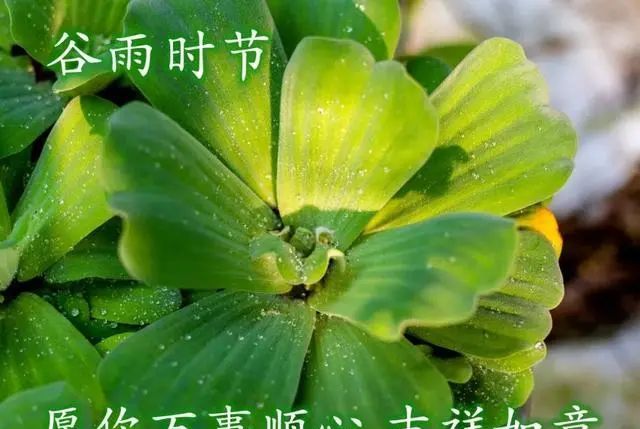 也预示着你将有一个美好的开始;祝成功和快乐永远伴随你!