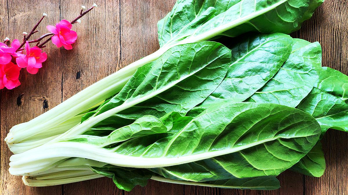 谷雨季节,牛皮菜,长得粗大肥美,正是好吃的时候,千万别错过了|牛皮菜|