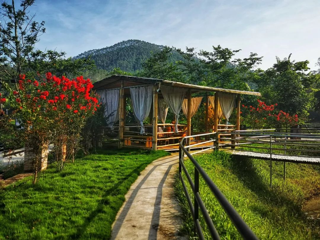 广州自驾1h,藏在增城这座稻田里的私家园林民宿丨柒舍里