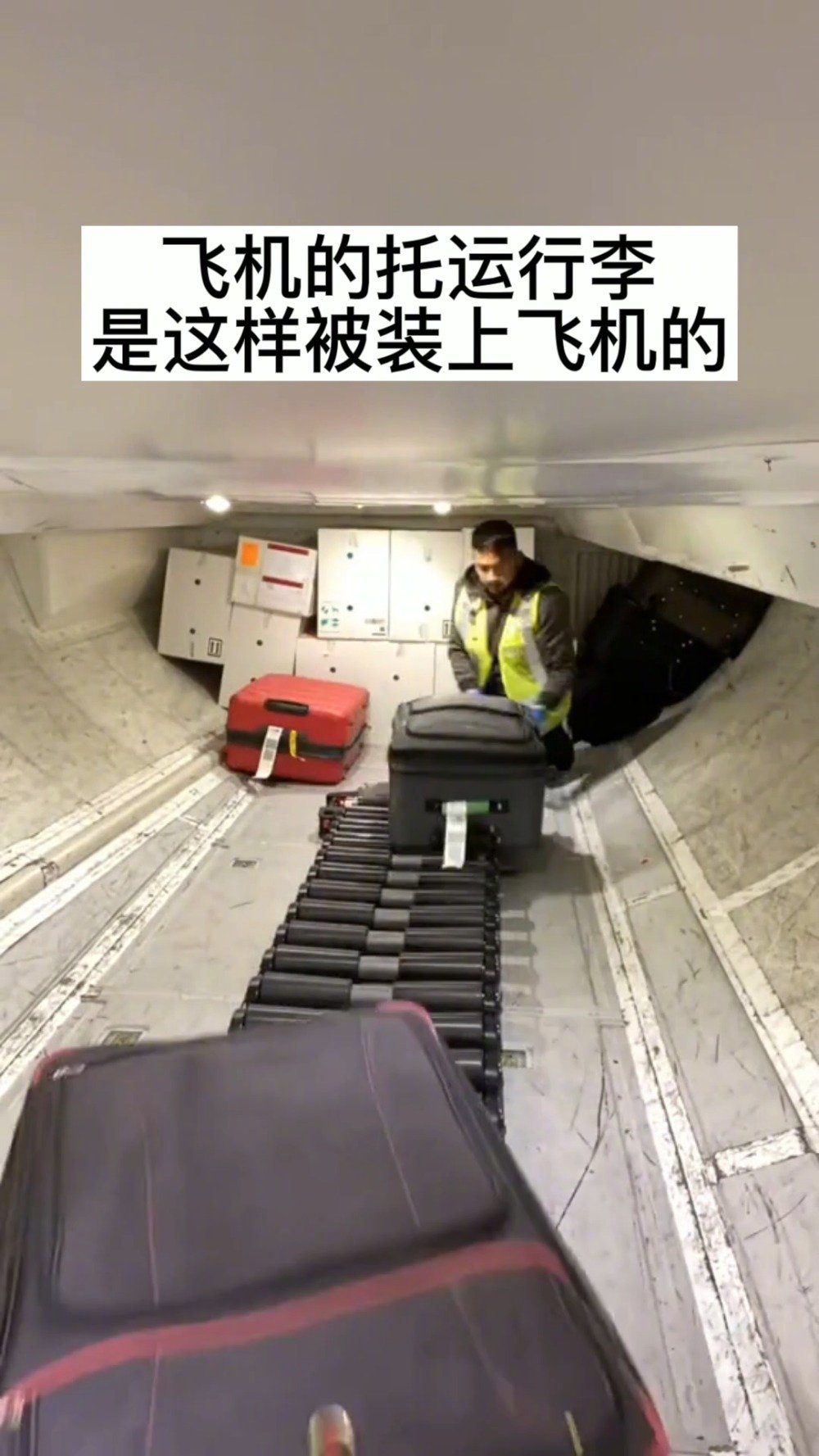原来飞机托运的行李都是人工摆放进机舱的|飞机_新浪新闻