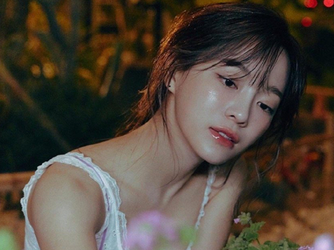 北京双迪嘉泰及北方大陆关联方因涉嫌传销被法院