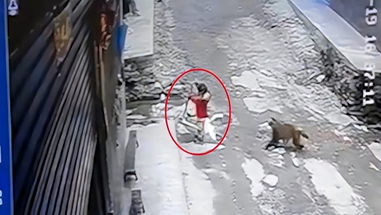 惊险至极,3岁女童在家门口玩耍被野猴拖走,为何它敢这么大胆?休闲区蓝鸢梦想 - Www.slyday.coM 惊险至极,3岁女童在家门口玩耍被野猴拖走,为何它敢这么大胆?休闲区蓝鸢梦想 - Www.slyday.coM