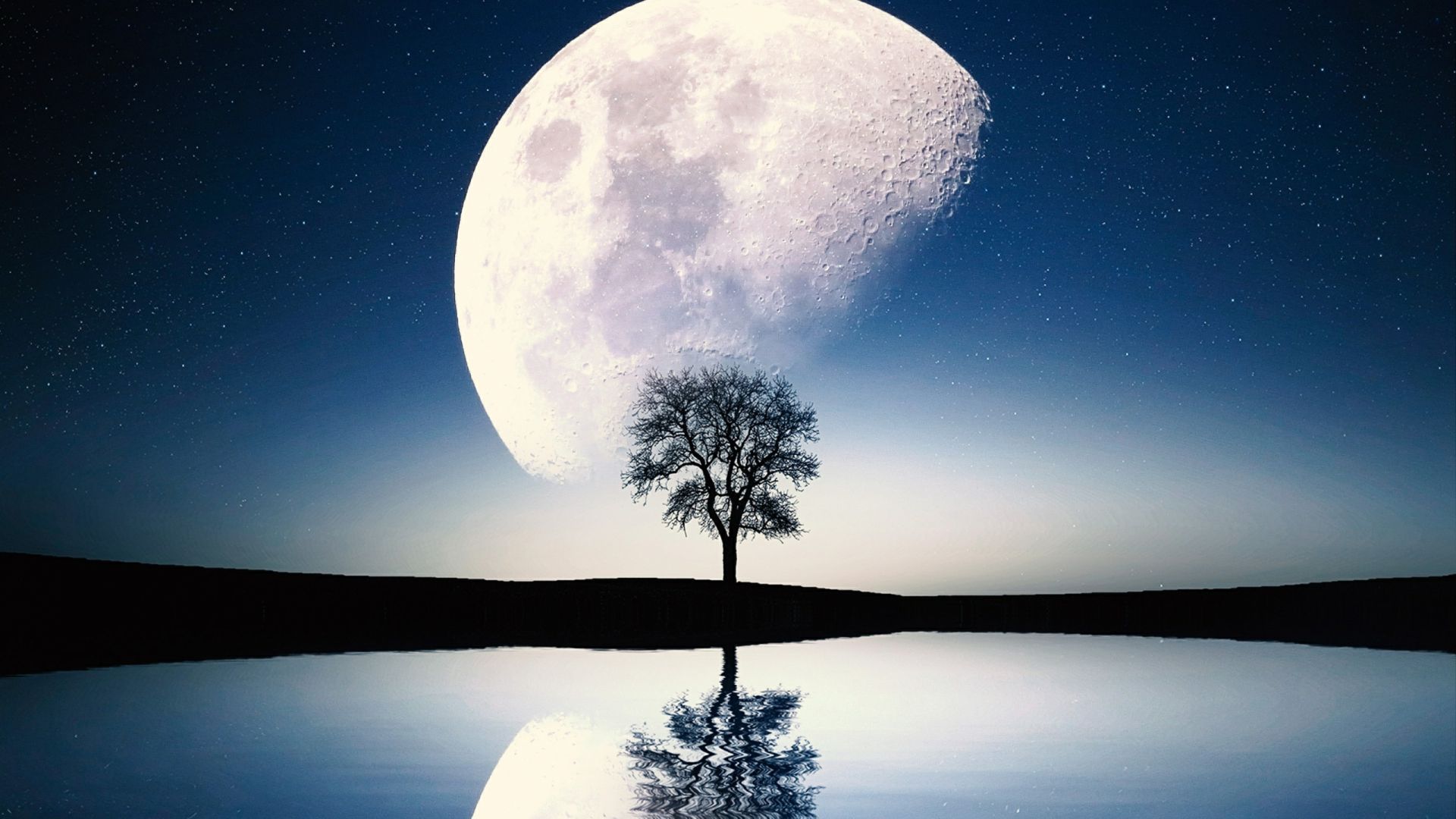 沉着冷静物质至上的星座他吃醋是因为他的占有欲极强