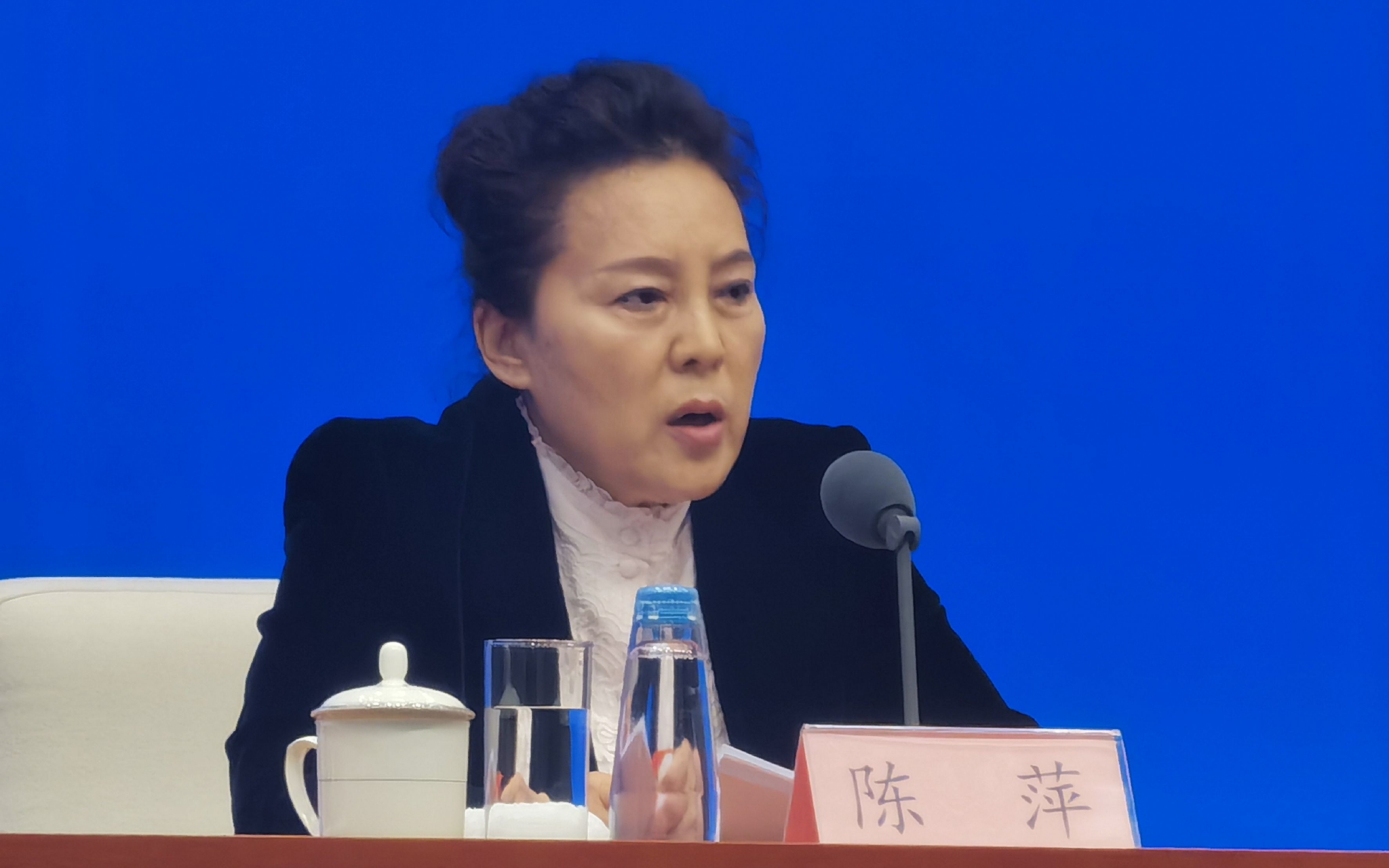 农业农村部市场与信息化司负责人陈萍.新京报记者&nbsp;陈琳&nbsp;摄