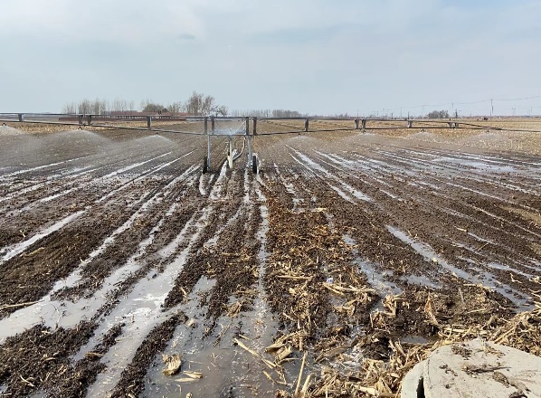 双辽市王奔镇巨兴村疫情防控不松劲春耕备耕不误时