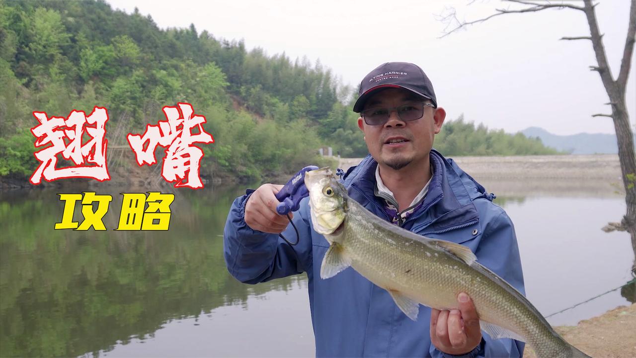 户外老曹的主页_新浪网