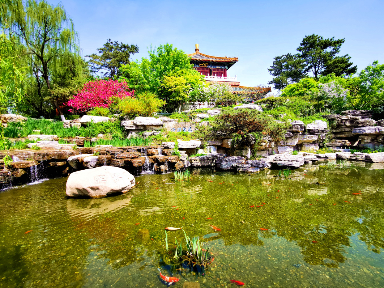 打卡丰台|姹紫嫣红园博园|园博园|北京市_新浪新闻