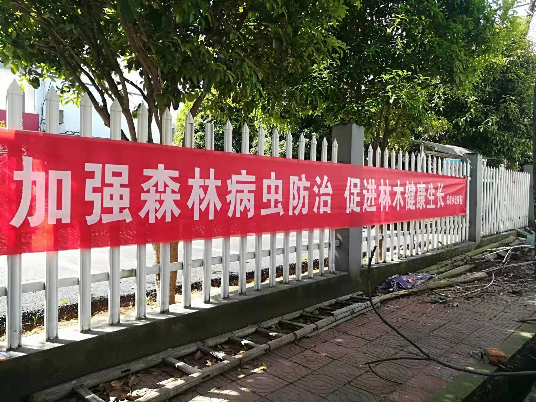 通过专题会议,拉横幅撒标语等形式大力宣传松材线虫病的危害,累计宣传