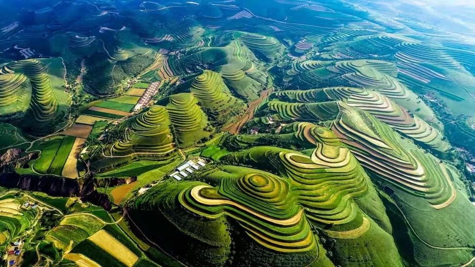 从黄到绿陕甘宁革命老区生态建设展现喜人画卷