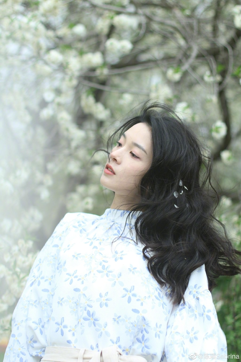 近日,陈瑶在微博晒出最新写真.