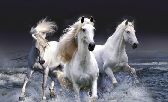 实力强大的生肖马,胜不骄败不馁,遇到困境逆流涌进休闲区蓝鸢梦想 - Www.slyday.coM 实力强大的生肖马,胜不骄败不馁,遇到困境逆流涌进休闲区蓝鸢梦想 - Www.slyday.coM