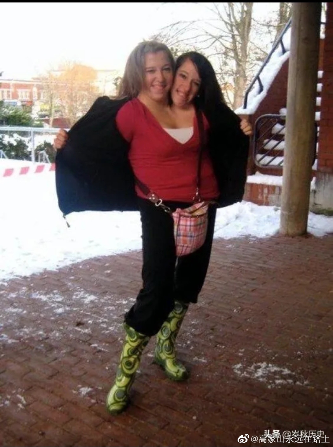 双头人还真没有见过