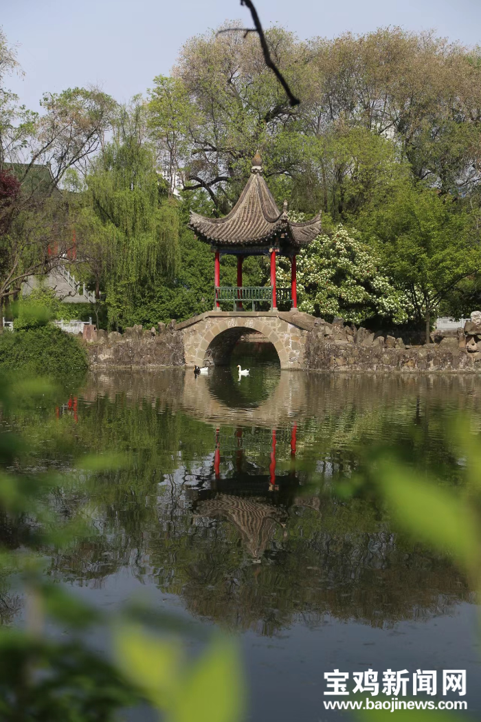 打卡凤翔东湖与杭州西湖媲美的姊妹湖