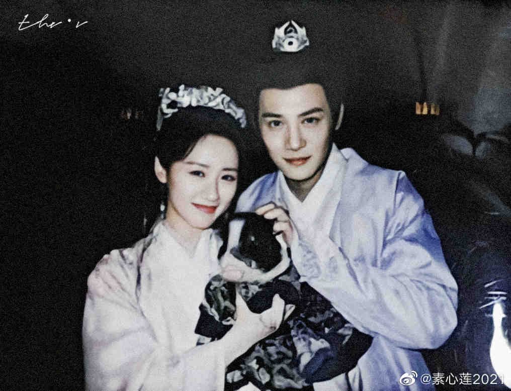 终于看到像样的武打戏!让我们谢谢郑业成,不用再看替身特效了休闲区蓝鸢梦想 - Www.slyday.coM 终于看到像样的武打戏!让我们谢谢郑业成,不用再看替身特效了休闲区蓝鸢梦想 - Www.slyday.coM