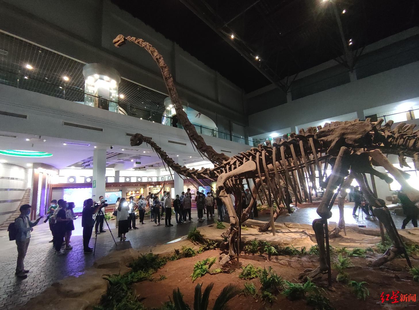 自贡恐龙博物馆二号馆预计6月底开放建筑面积超3000平方米系恐龙探秘