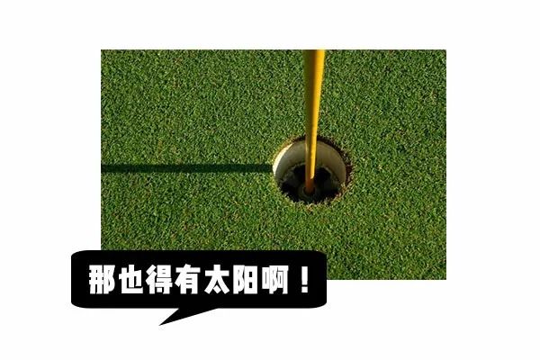 4月野物出没，一个月内34人被咬伤住院！医生提醒：这4种错误处理方式会致命！休闲区蓝鸢梦想 - Www.slyday.coM