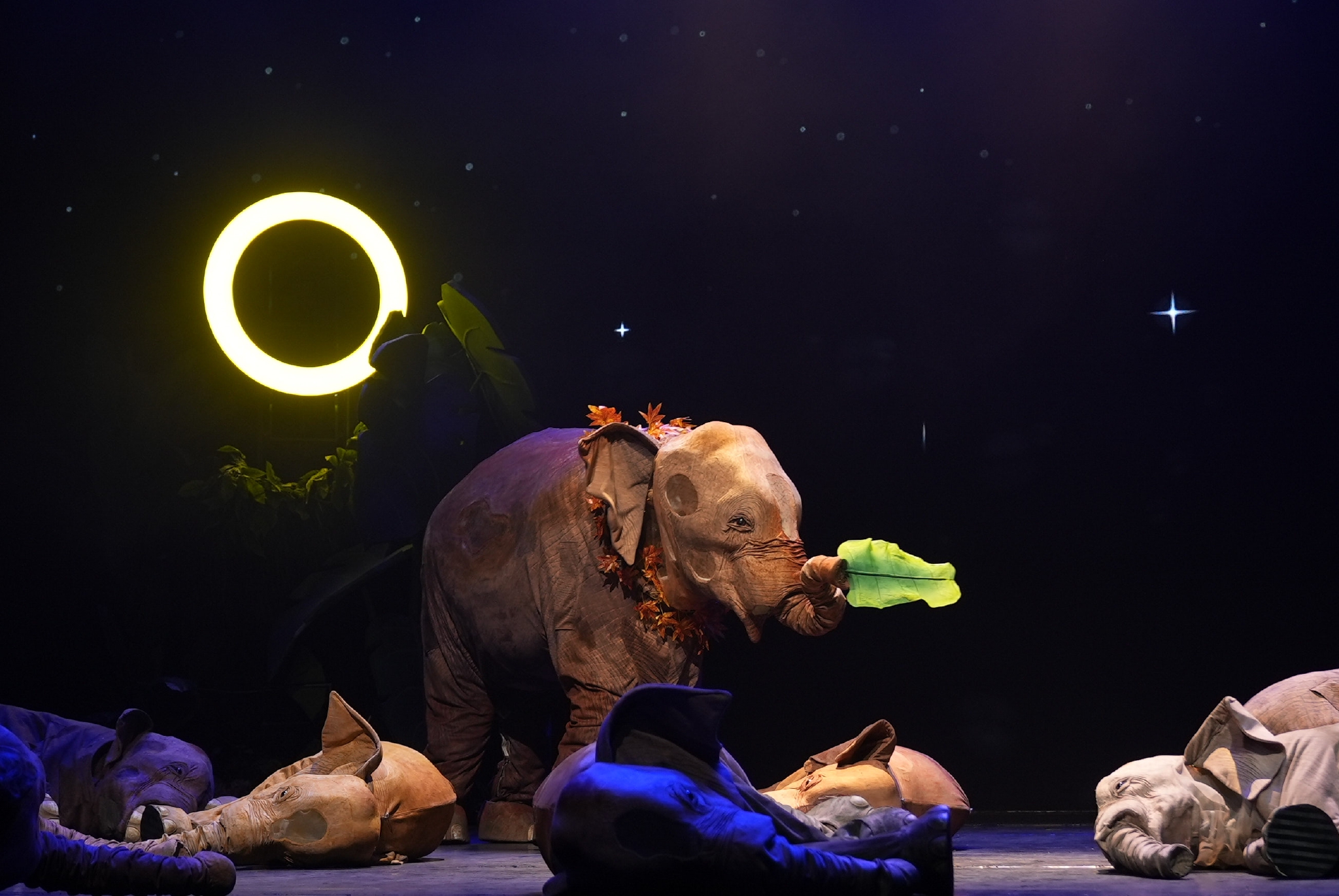 26位演员如何演活15头大象揭秘木偶剧大象来了