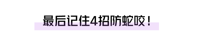 4月野物出没，一个月内34人被咬伤住院！医生提醒：这4种错误处理方式会致命！休闲区蓝鸢梦想 - Www.slyday.coM