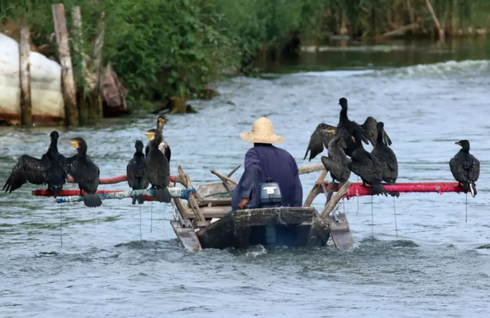 我只是摸个鱼，你们却把我当演员休闲区蓝鸢梦想 - Www.slyday.coM