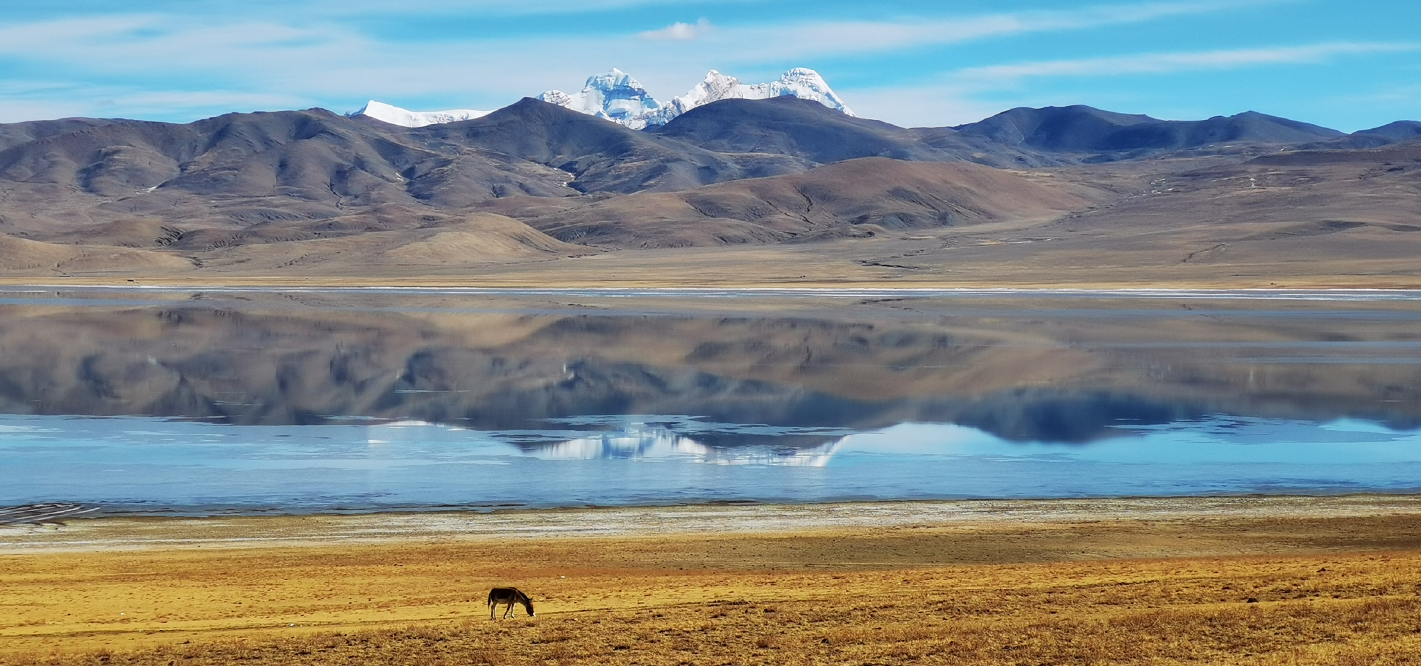 定结县高端网站建设_(定结县高端网站建设公司)
