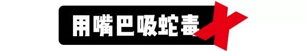 4月野物出没，一个月内34人被咬伤住院！医生提醒：这4种错误处理方式会致命！休闲区蓝鸢梦想 - Www.slyday.coM