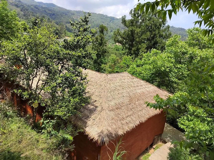 千年茶乡昌宁县漭水镇黄家寨登上热搜榜