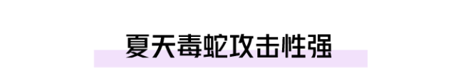 4月野物出没，一个月内34人被咬伤住院！医生提醒：这4种错误处理方式会致命！休闲区蓝鸢梦想 - Www.slyday.coM