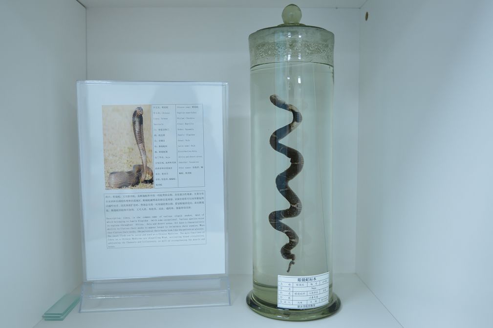 4月野物出没，一个月内34人被咬伤住院！医生提醒：这4种错误处理方式会致命！休闲区蓝鸢梦想 - Www.slyday.coM