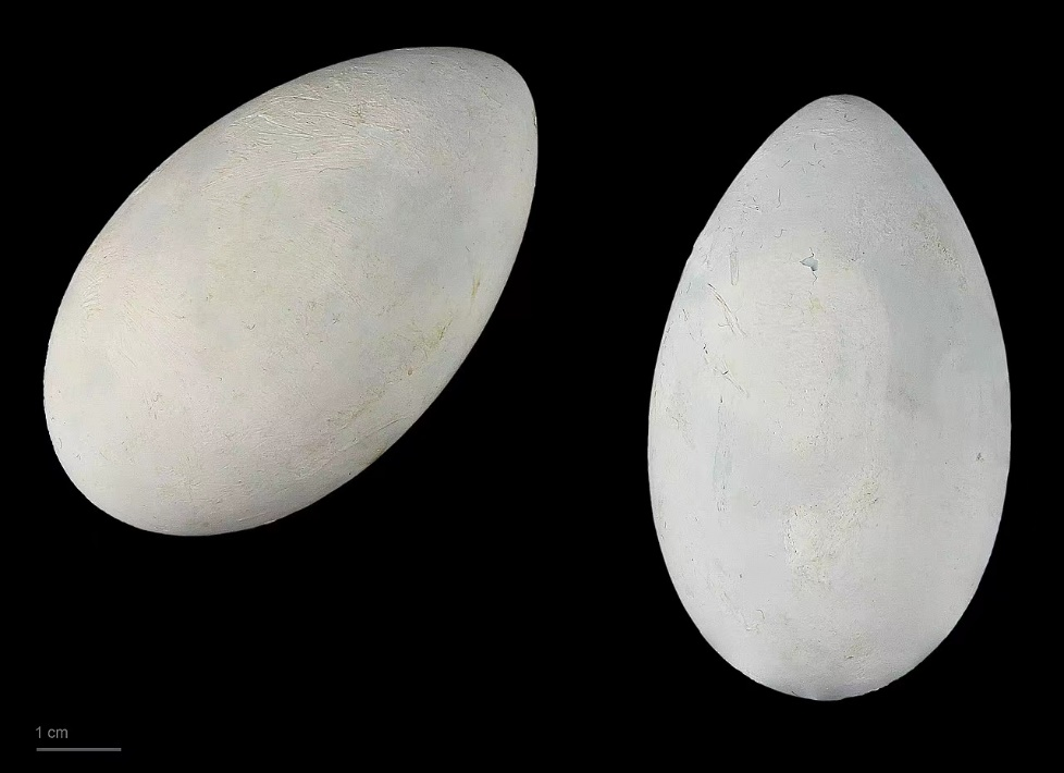 我只是摸个鱼，你们却把我当演员休闲区蓝鸢梦想 - Www.slyday.coM