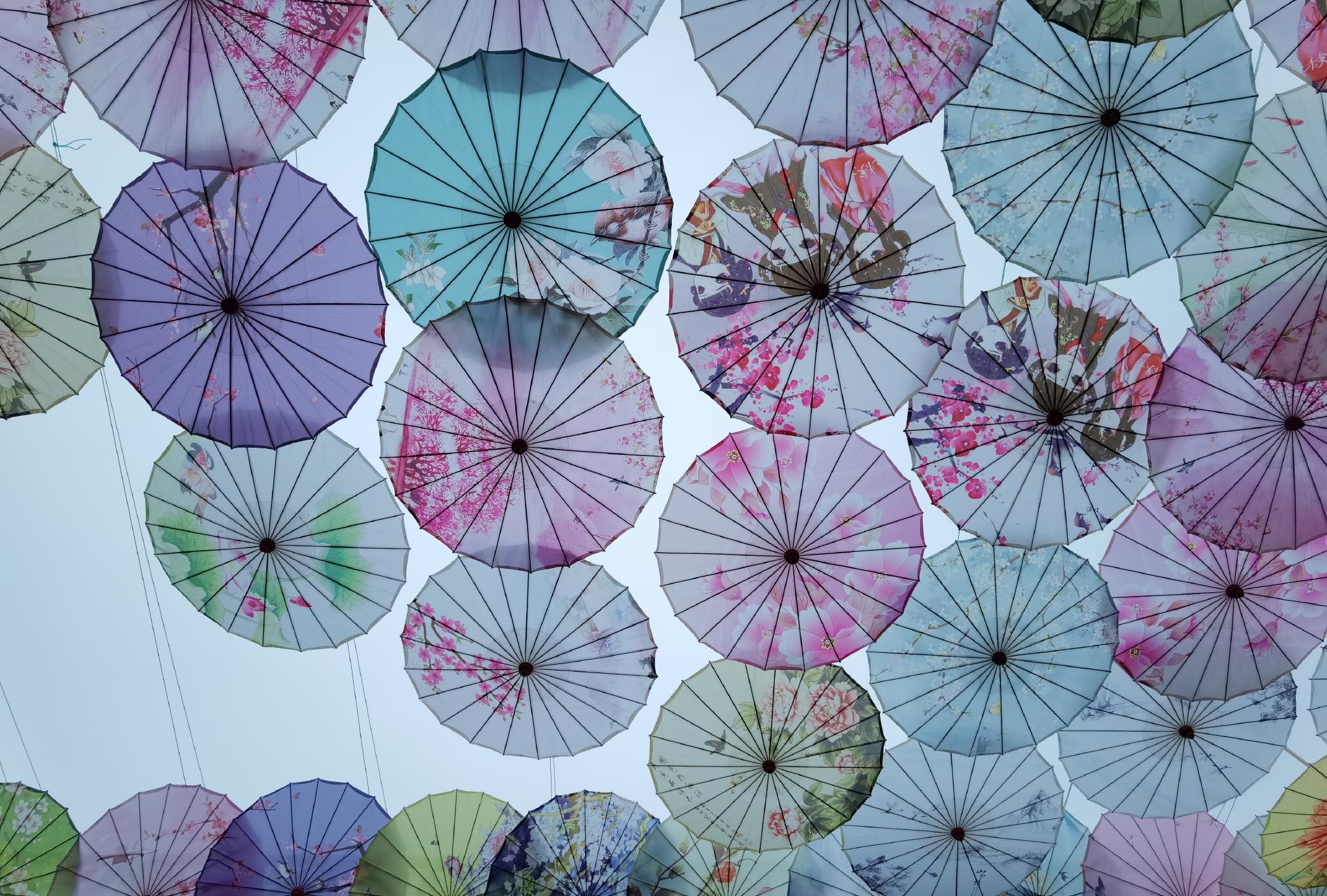 这个春天油纸伞成了真正的网红