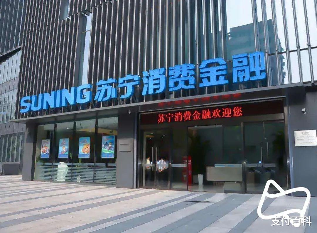 苏宁电器的发展前景
