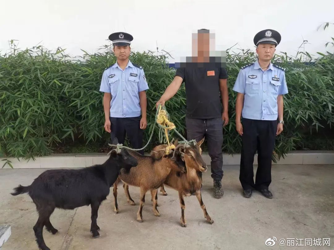 永胜民警两小时帮助群众找回被盗的山羊休闲区蓝鸢梦想 - Www.slyday.coM 永胜民警两小时帮助群众找回被盗的山羊休闲区蓝鸢梦想 - Www.slyday.coM