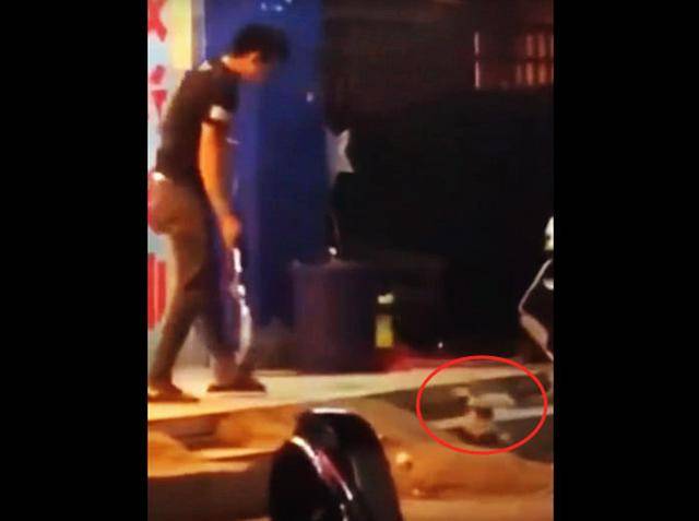 主人抡拖把在街边暴打小奶狗，得知原因后，网友表示：打得好！休闲区蓝鸢梦想 - Www.slyday.coM