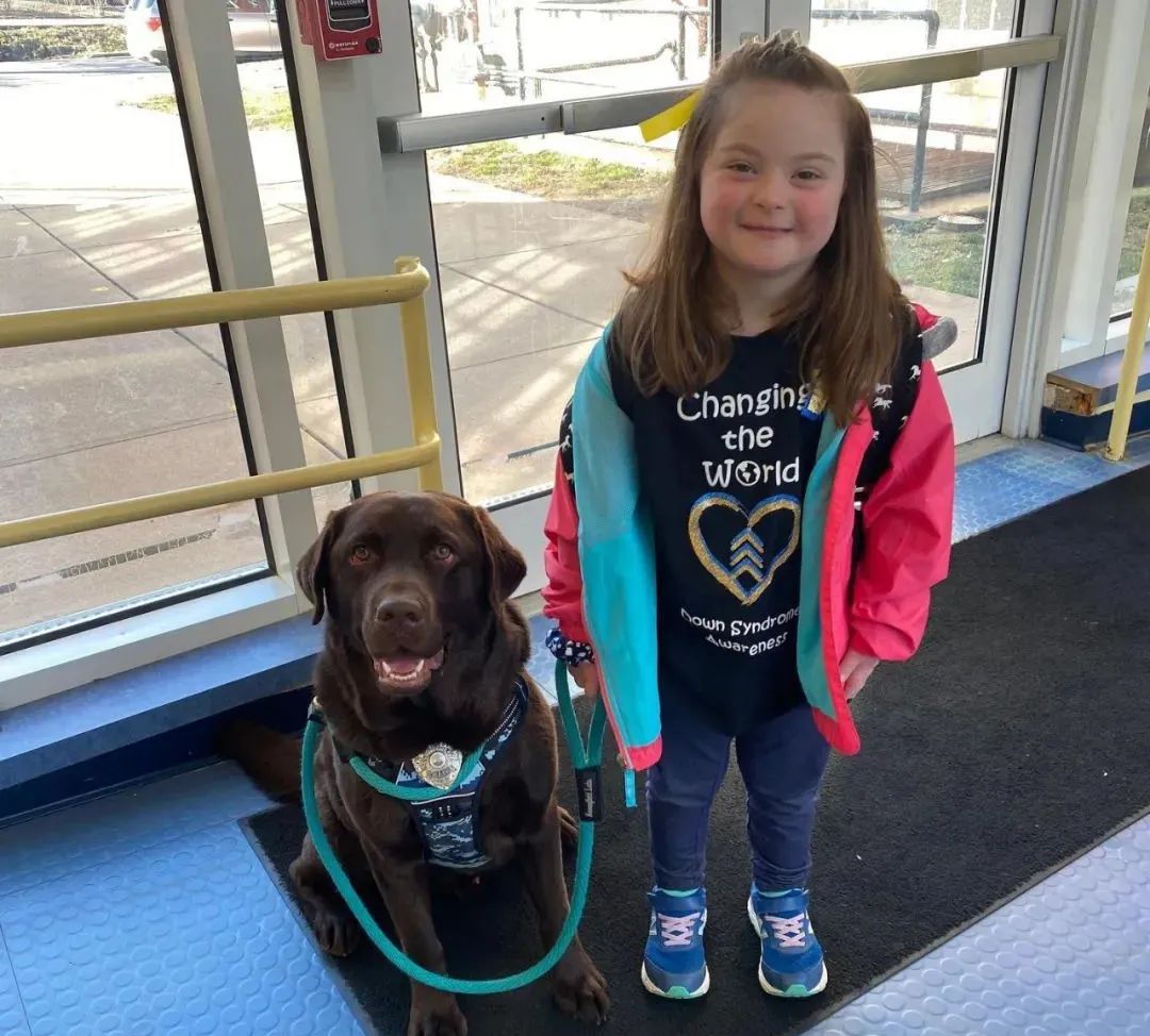 警犬宝宝入职第一天,就直接趴桌子上睡翻过去,而且粉丝还越睡越多休闲区蓝鸢梦想 - Www.slyday.coM