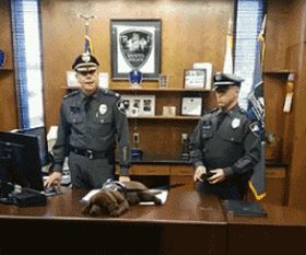 警犬宝宝入职第一天,就直接趴桌子上睡翻过去,而且粉丝还越睡越多休闲区蓝鸢梦想 - Www.slyday.coM