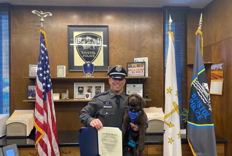 警犬宝宝入职第一天,就直接趴桌子上睡翻过去,而且粉丝还越睡越多休闲区蓝鸢梦想 - Www.slyday.coM