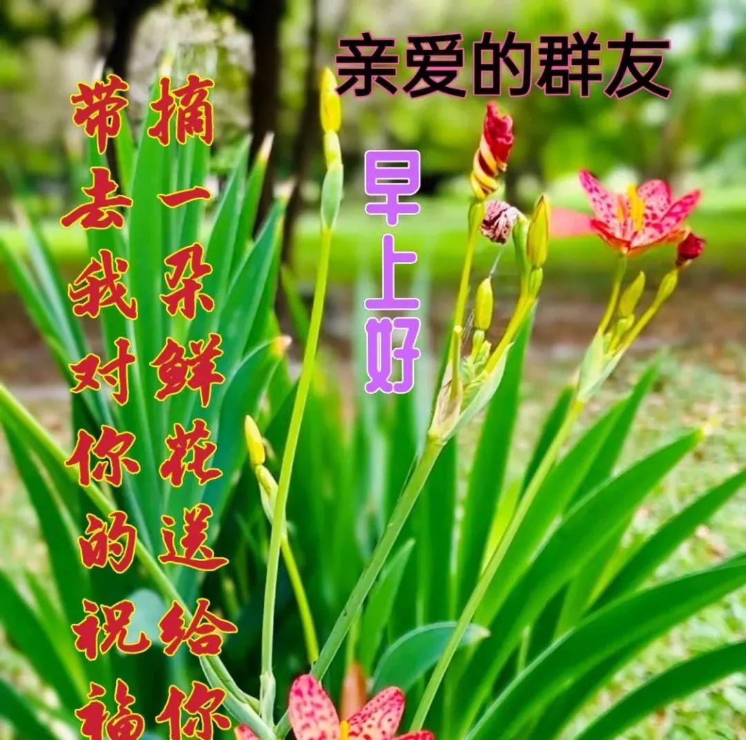 唯美早上好问候语图片带字精选,清晨早安祝福图片|刀子嘴|波澜|人生_新浪新闻