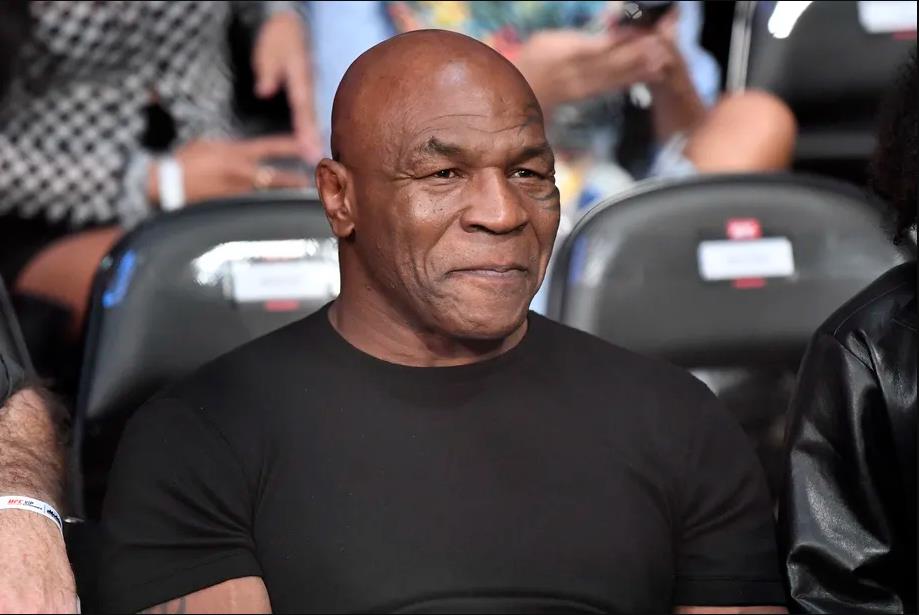 你大爷还是你大爷！快56岁泰森脾气依然火爆，飞机上重拳暴揍乘客休闲区蓝鸢梦想 - Www.slyday.coM