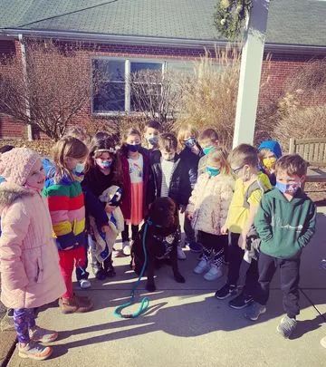 警犬宝宝入职第一天,就直接趴桌子上睡翻过去,而且粉丝还越睡越多休闲区蓝鸢梦想 - Www.slyday.coM