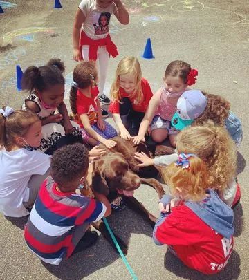 警犬宝宝入职第一天,就直接趴桌子上睡翻过去,而且粉丝还越睡越多休闲区蓝鸢梦想 - Www.slyday.coM