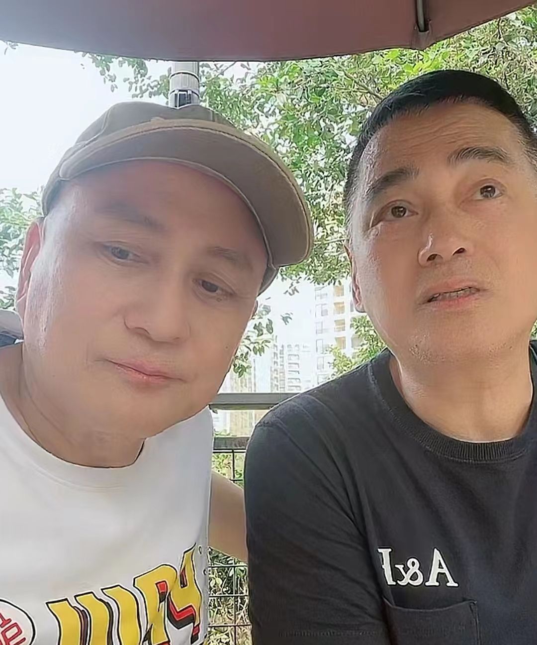 汤镇宗和汤镇业是一对亲兄弟,他们的关系也一直不错,汤镇宗来看汤镇业