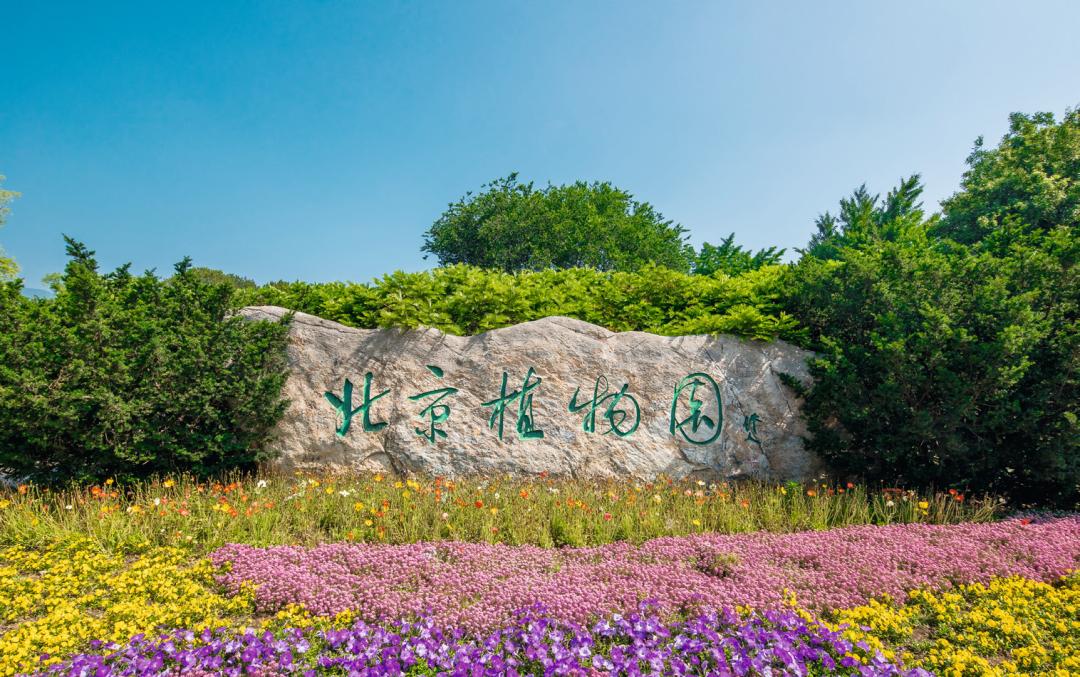 "国家植物园"正式揭牌,而这个人将起点提前了整整60年|中国_新浪新闻