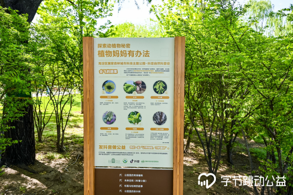 抖音自然×海淀公园科普活动有点东西|海淀公园|抖音|自然_新浪新闻