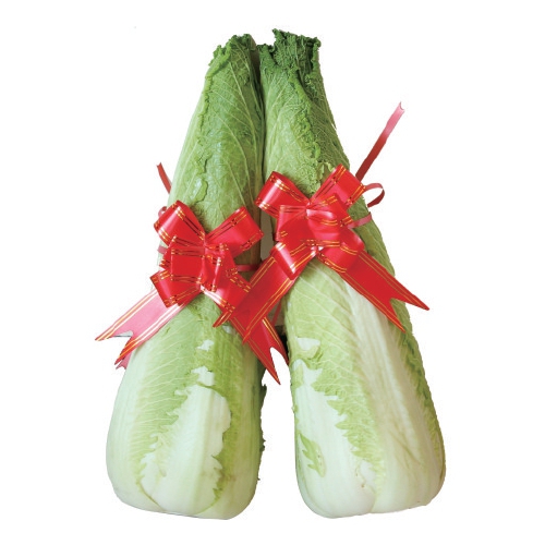 专家团队为玉田包尖白菜生产"把脉问诊". 资料图