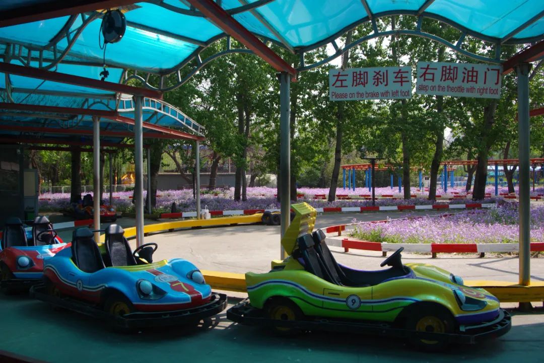 北京朝阳公园(图片来源:http://tuku.qianlong.com)杨先灿摄 千龙网发